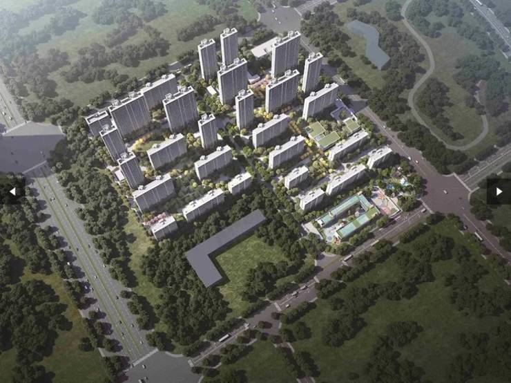 雲项目分销佣金有多少AG真人娱乐网址望